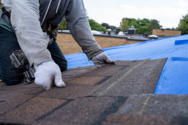 Best Emergency Roof Repair  in Cadiz, KY